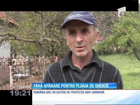 Grindină a făcut ravagii în mai multe judeţe din România