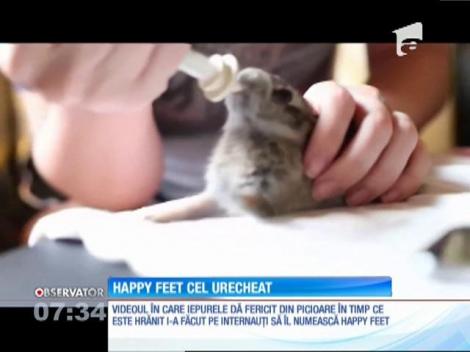 Filmat la ora mesei, iepuraşul din imaginile următoare este absolut adorabil