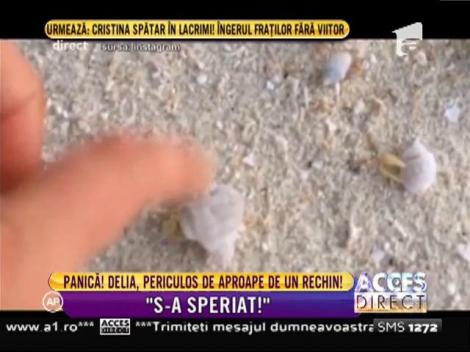 Delia, la un pas să fie sfâşiată de un rechin