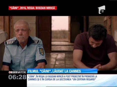 Filmul de debut al lui Bogdan Mirică, "Câini", lăudat la Cannes