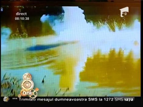 Smiley News: Ce se întâmplă dacă faci "broasca" cu o bucată de sodiu