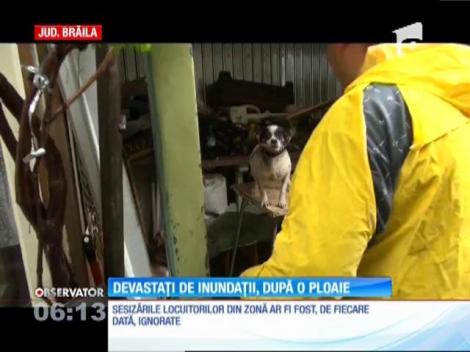 Ploile torenţiale au distrus mai multe case şi grădini, în judeţele Brăila, Tulcea şi Constanţa. Oamenii s-au trezit cu apa până la ferestre