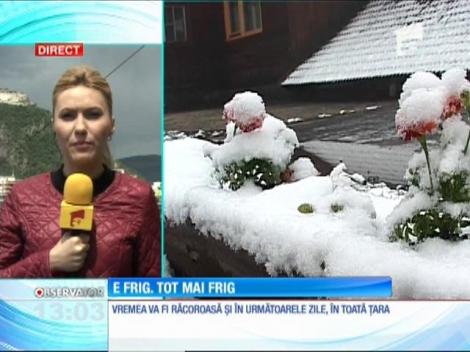 Temperaturile pentru sudul ţării rămân mai scăzute decât în mod normal pentru această perioadă a anului