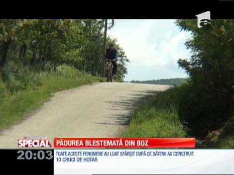 Special! Pădurea bântuită din Boz