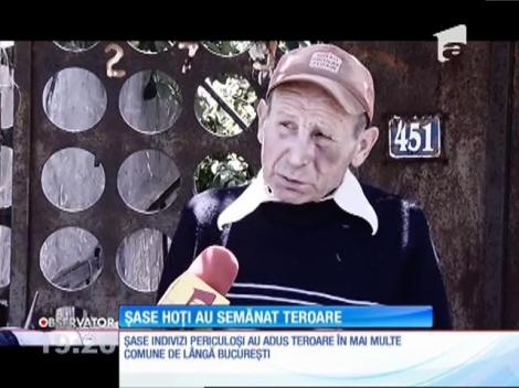 Șase indivizi periculoși au adus teroare în mai multe comune de lângă București