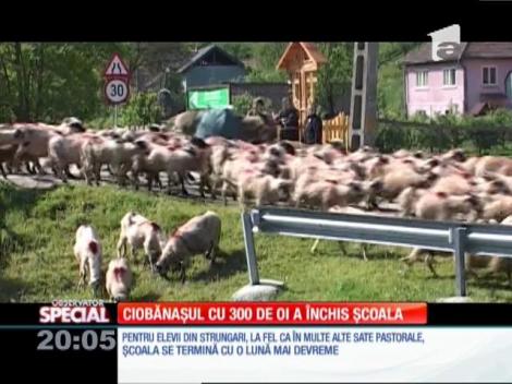 Special! Pentru elevii din Strungari, județul Alba, școala se termină cu o lună mai devreme