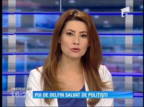 Poliţiştii Serviciului "Delta Dunării" au salvat un pui de delfin prins în plasele de pescuit ale braconierilor