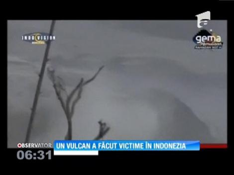 Un vulcan a făcut victime în Indonezia