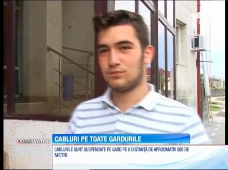 Cabluri pe toate gardurile, în Timişoara