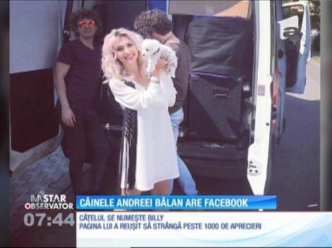 Bucurie mare! Un nou membru al familiei Andreei Bălan are cont pe Facebook: "Trebuie să-l urmăriți!", le-a spus vedeta fanilor