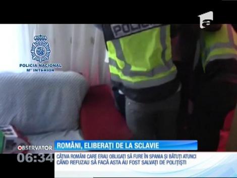 Mai mulţi români au fost salvaţi de la sclavie de poliţiştii spanioli