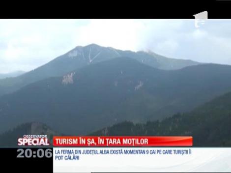 SPECIAL! Turism în şa, în ţară moţilor