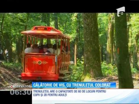 Trenuleţul Tomy este noua atracţie a copiilor la Târgu Mureş