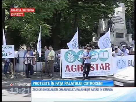 Zeci de sindicaliști din agricultură au ieșit în stradă