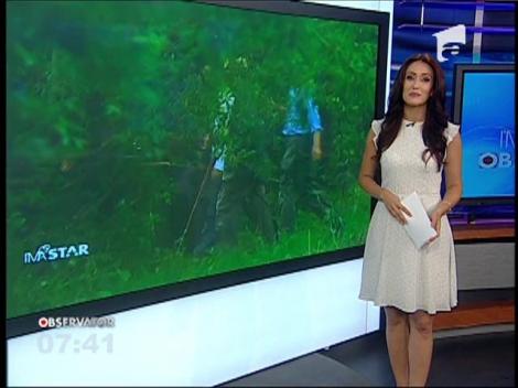 IMA Star Observator 01/06/2016