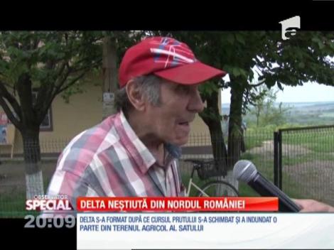SPECIAL! Delta neştiută din nordul României