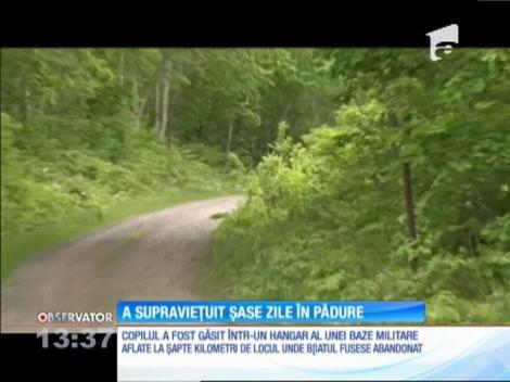 Copilul de şapte ani abandonat de părinţi într-o pădure pentru că nu era cuminte, găsit teafăr