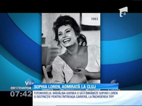 IMA Star Observator 04/06/2016