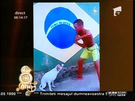 Smiley News: El este câinele care cu siguranţă dansează samba mai bine ca tine