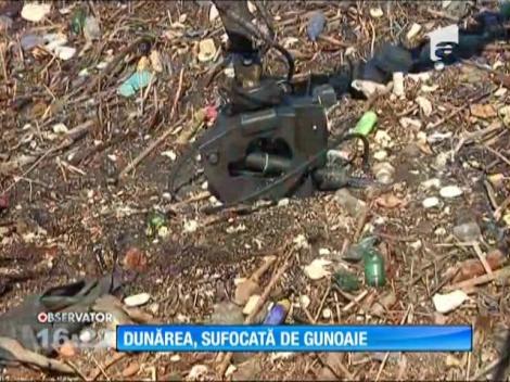 Dunărea, sufocată de tone de gunoaie aduse de viituri
