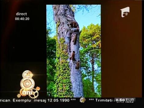 Smiley News: Cum îşi duce un raton puii acasă