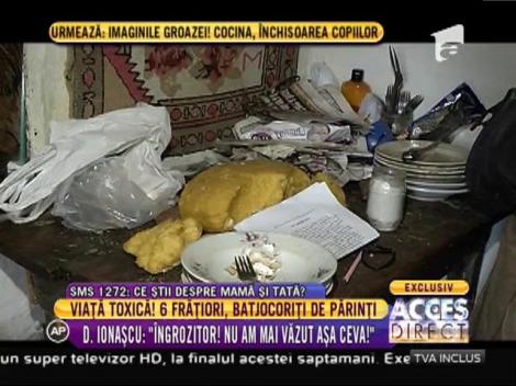 Casa lor, un morman de gunoaie! Șase frățiori, batjocoriți de părinți: stau în mizerie, nemâncați, fără jucării