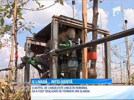 Aplicația pentru livezi inteligente