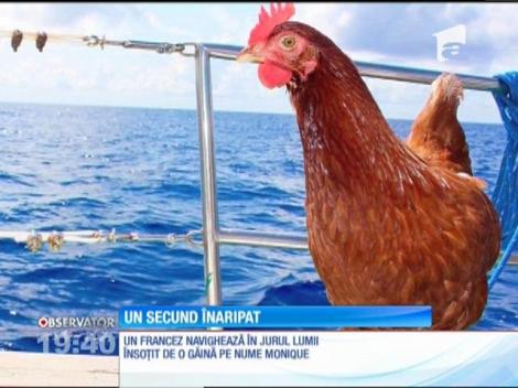 Un francez navighează în jurul lumii însoţit de o găină