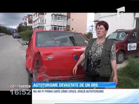 Un urs a devastat mai multe autoturisme într-o localitate din Argeş
