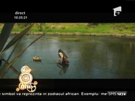 Recomandare de film! De văzut "X-Men Apocalypse" şi "Warcraft"