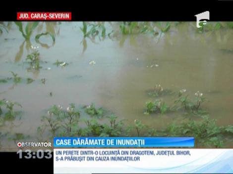 Case dărâmate de inundaţii în judeţul Bihor