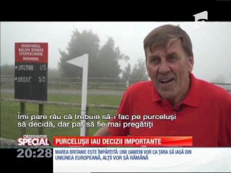 SPECIAL! Purceluşii iau decizii importante