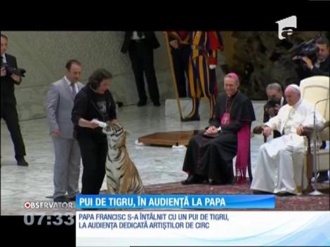 Pui de tigru, în audiență la Papa Francisc