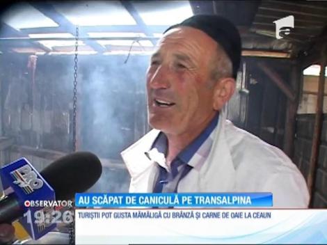 Au scăpat de caniculă pe Transalpina