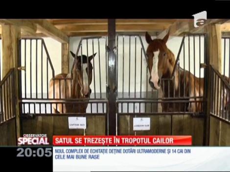 Special! Oamenii din satul Apoș, județul Sibiu, se trezește în tropotul cailor