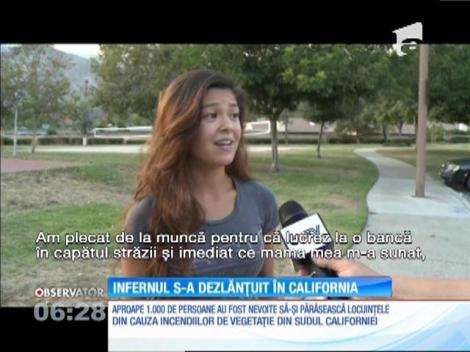 Incendii de vegetaţie devastatoare în vestul SUA