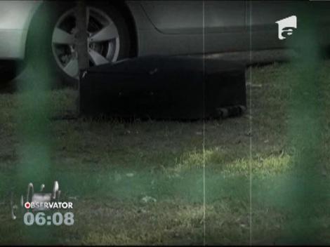 Un geamantan negru, abandonat într-un parc din Târgu Jiu, a pus pe jar pirotehniştii