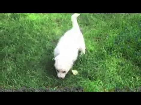 Andreea Bălan este o mămică sexy, energică și fericită peste măsură! Cum a ales artista să își petreacă ziua de naștere și ce veste le va da fanilor