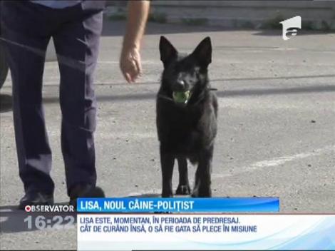 Lisa, noul câine polițist