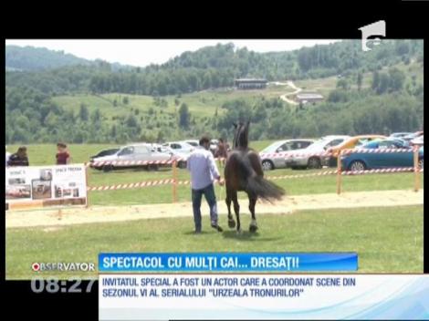 Mai mulți cai au făcut spectacol la Runcu, în Dâmboviţa