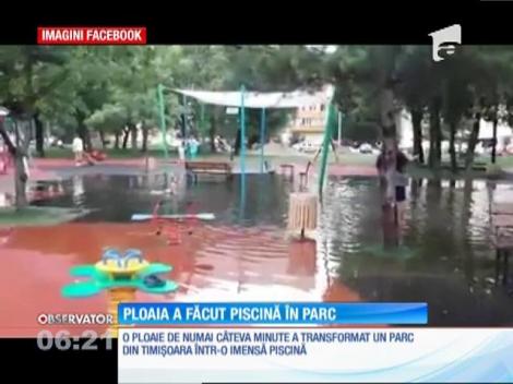 După o scurtă ploaie, un parc din Timişora s-a transformat într-o mică Veneţie