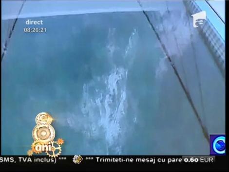 Smiley News: Intersecţie blocată de gâște