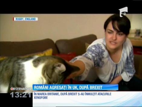 Românii sunt agresați în Marea Britanie, după Brexit