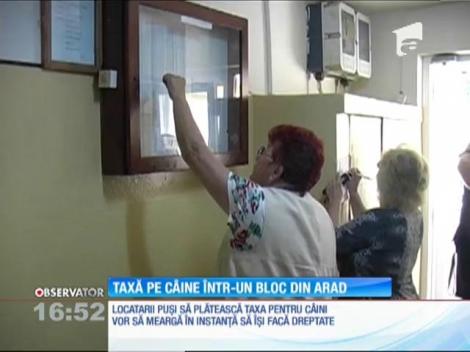Taxă de câine de 100 de lei pe lună într-un bloc din Arad
