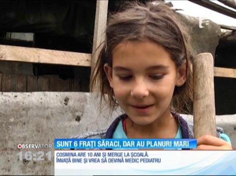Șase frați săraci cu planuri mari
