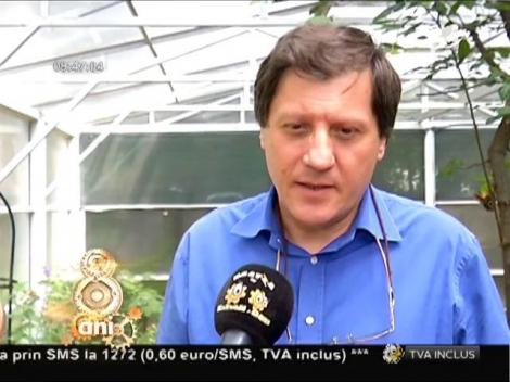 Expoziție de fluturi tropicali vii la Muzeul Grigore Antipa