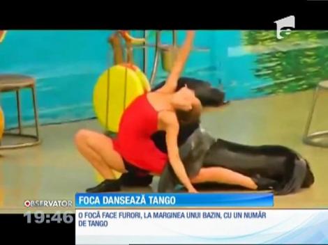 O focă din Rusia face furori cu un număr de tango, alături de dresoarea sa