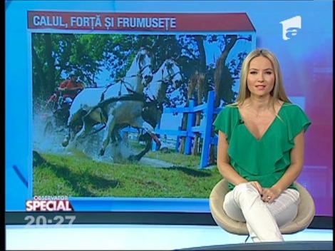 Special! Caii fac din nou spectacol