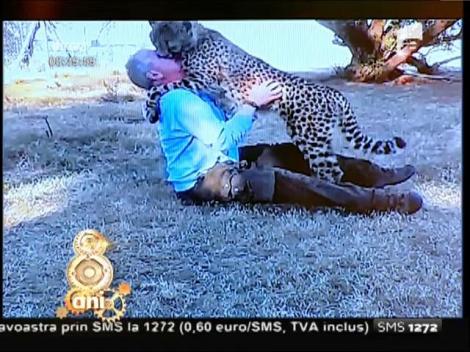 Smiley News: Întâlnirea după zece luni dintre un ghepard și un om