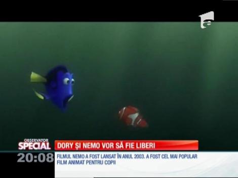 Special! Dory și Nemo vor să fie liberi